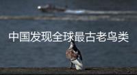 中国发现全球最古老鸟类 将鸟类起源时间提早近2000万年