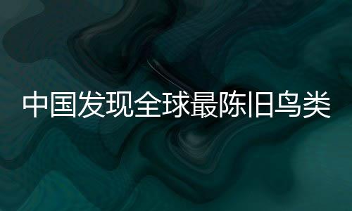 旧鸟近万它发现在侏罗纪时期