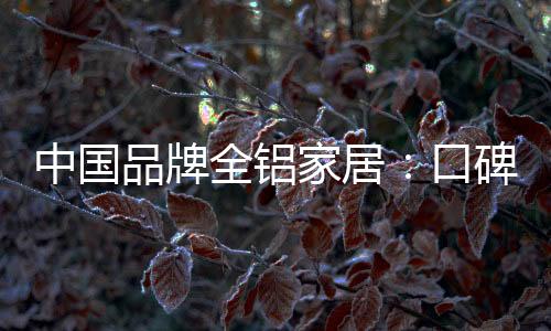 更不是中国胡乱吹嘘