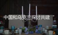 快排公司十年历程，霸屏兔 seo 的崛起与坚守
