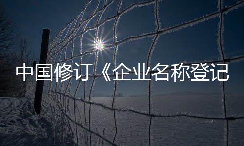 企业名称可以自主选择