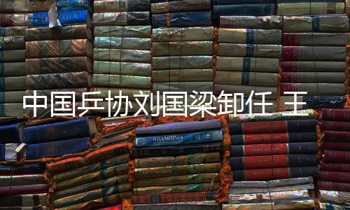 张雷仍任协会副主席