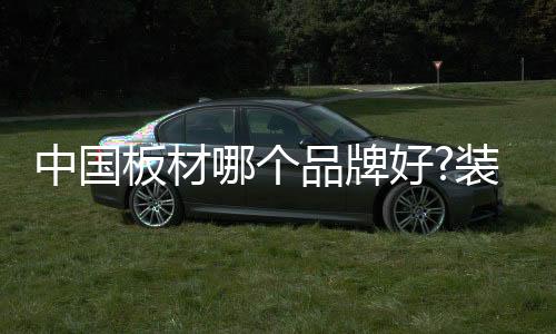 环保板材影响力品牌