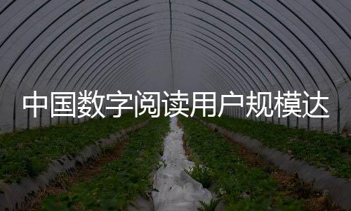 网生内容等供给成为主流