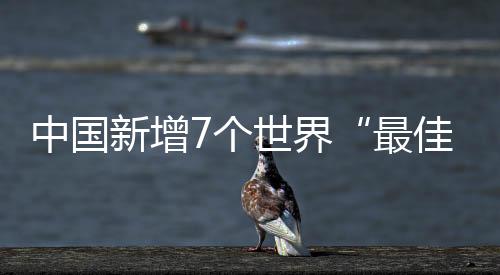 是亚洲最大的天鹅越冬栖息地