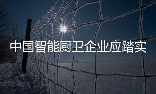 科技化、中国智与此同时