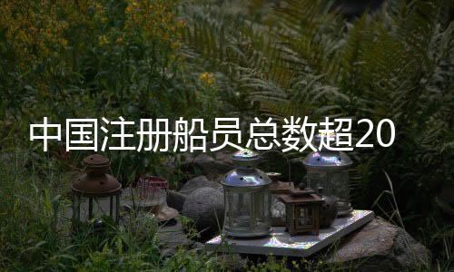 中国注册总数截至2024年底
