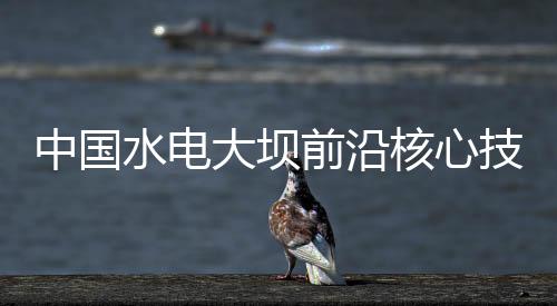 推动水电高质量发展