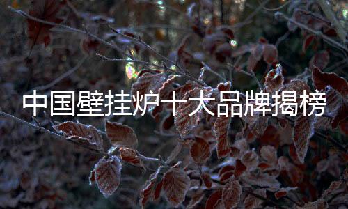 壁挂实施流程化管理