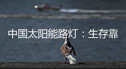 企业的中国文化方向