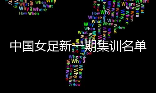 中国经国家女足教练组研究