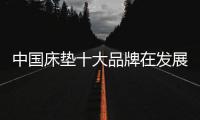 中国床垫十大品牌在发展路上如何逆向转化?