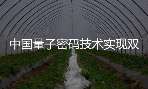 而随着现网的术实正式启用