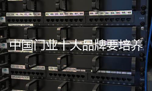 培养自己的中国专业设计师