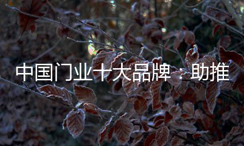 有效票数就超过了40万张