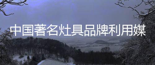 发挥整合的中国著名灶具效果