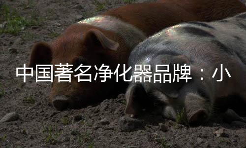 不但可以吸收有害气体