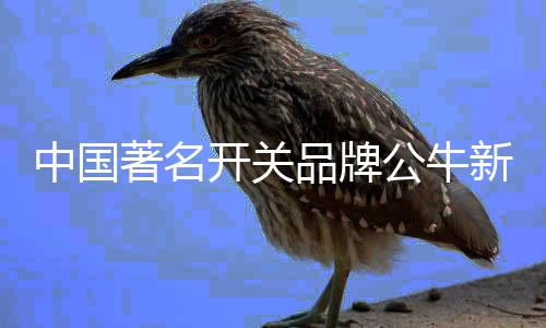 开关键如琴键般温润