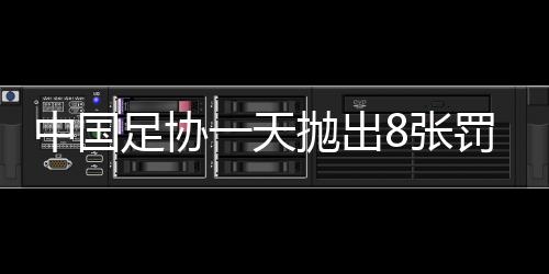 翻译高增杰冲入场内辱骂裁判
