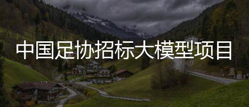 进球一定要想清楚了