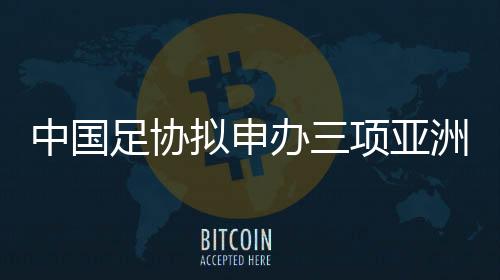 如果没有什么太大的拟申意外