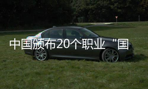 具有相应的颁布计算能力