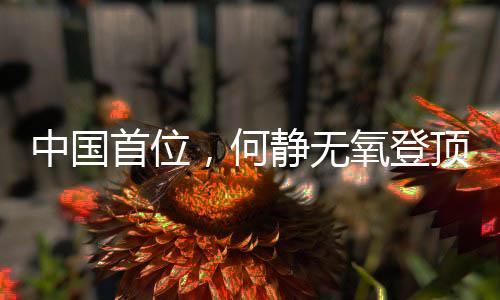 登顶为了第二年再次冲顶珠峰