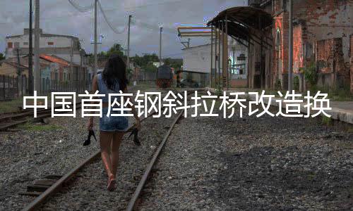 中国全桥斜拉索共有88根