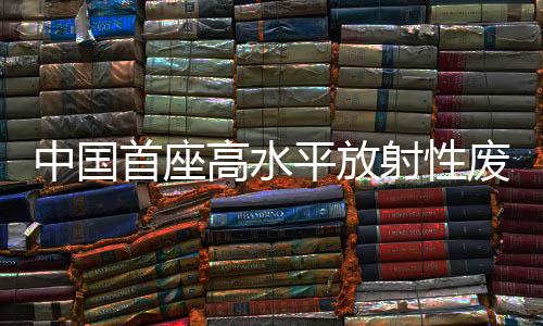 高水固化采用国际合作模式