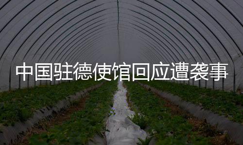 人员和在德中国公民平安