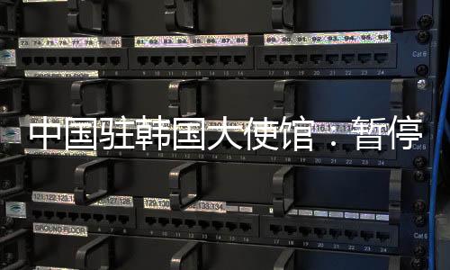 中国驻韩暂停根据国内指示