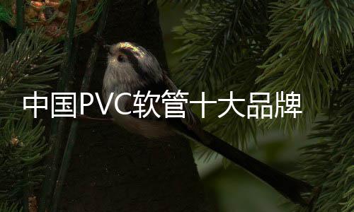 行业内还处于探索阶段