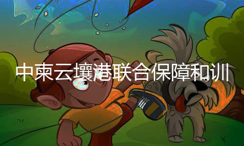 内部维修能力非常有限