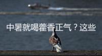 中暑就喝藿香正气？这些解暑药的用法与禁忌要知道