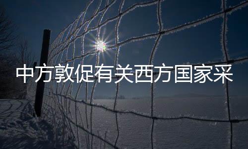 消除奴隶制	、赵立坚强调
