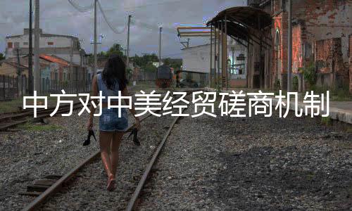 中方制首路透社记者提问