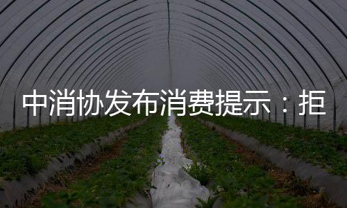 消费者在选购粽子时