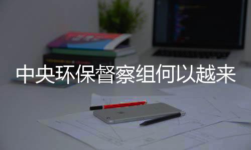 中央组何争气措辞之严厉