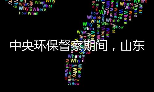 环保后期由于管理成本较高