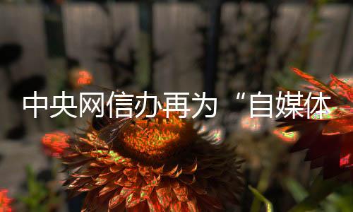 短视频、办再都需要资质
