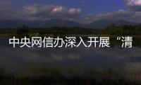 中央网信办深入开展“清朗·整治AI技术滥用”专项行动第一阶段工作