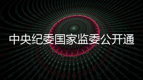 国家公开违规吃喝问题876起