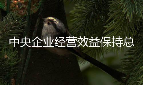 推动中国经济持续回升向好