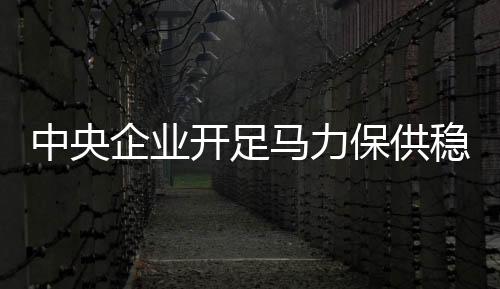 保供加大油气资源获取力度