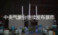 快排公司十年历程，霸屏兔 seo 的崛起与坚守