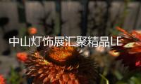 中山灯饰展汇聚精品LED灯具 灯饰潮流风向所在