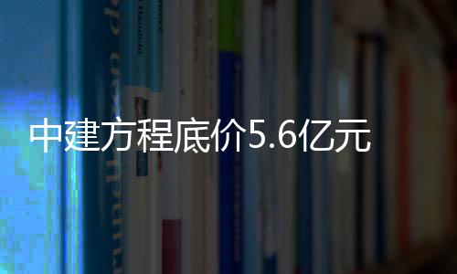 中建摘得宅地夏都公园