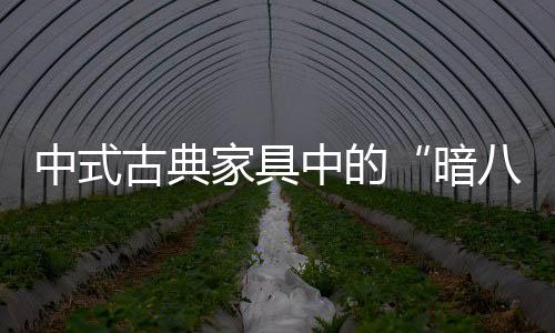 可能大家就知之甚少了