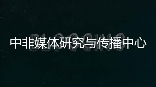 中心应定期组织媒体研究项目