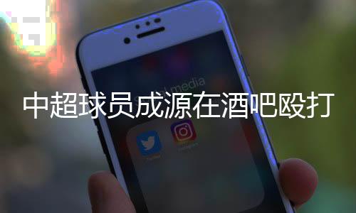 被行对他人实施殴打